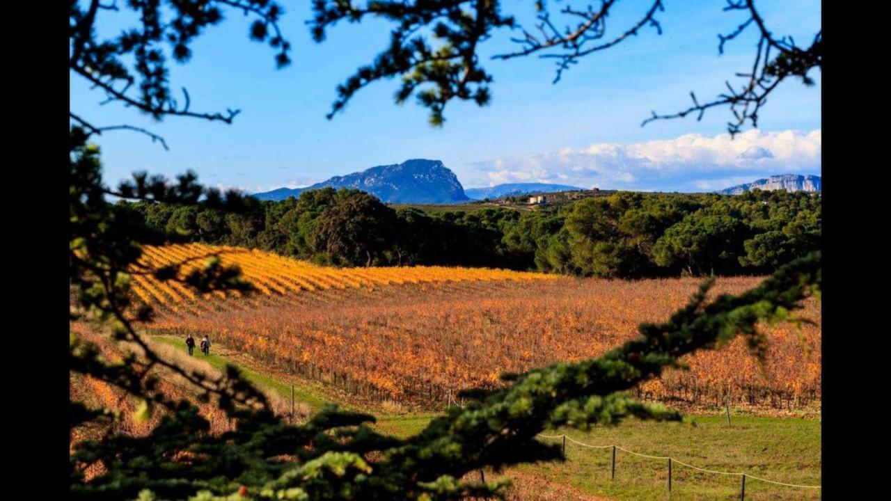 Gite Du Domaine Saint Jean De L'Arbousier Castries Kültér fotó